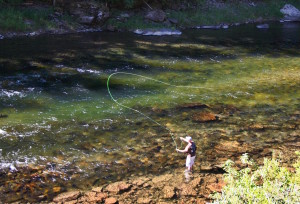 Information 1 Conejos River Fly Fishing