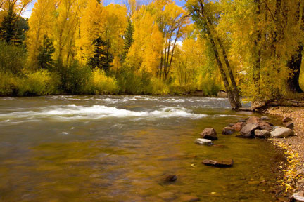 Conejos River Fly Fishing Guide