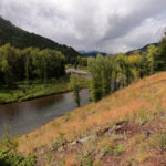 Conejos River Trout Fly Fishing